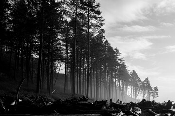 Kalaloch Beach (1)