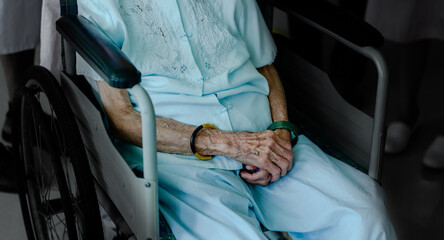 Old woman sitting on a wheelchair