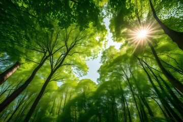 Fototapeta na wymiar sun shining through the forest generated by AI technology