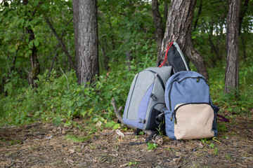 Two backpacks are in the forest under a tree. Hiking, trekking, tourism