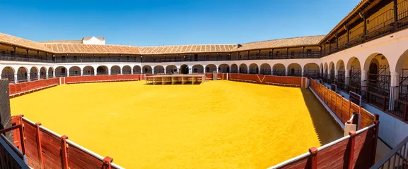 Foto op Plexiglas Hexagonal bullring of Almaden, unique in the world, world heritage, Spain. © josemiguelsangar