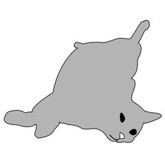 Sketches of cats in different poses