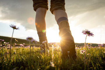 Woman hiker legs walking on beautiful flowering grassland
