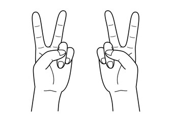 Fototapeta premium Vector line drawing illustration of two hands making the V-sign