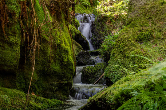 Wasserkaskaden am Gelobtbach, Elbsandsteingebirge 7
