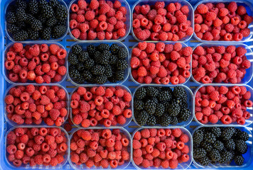 Heap of blackberries, and raspberry in market