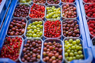 Heap of raspberry, red currant and gooseberry in market
