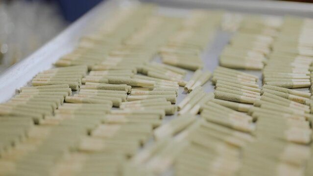 motion shot over Pre-roll Cannabis joints on metal tray, Close-up 