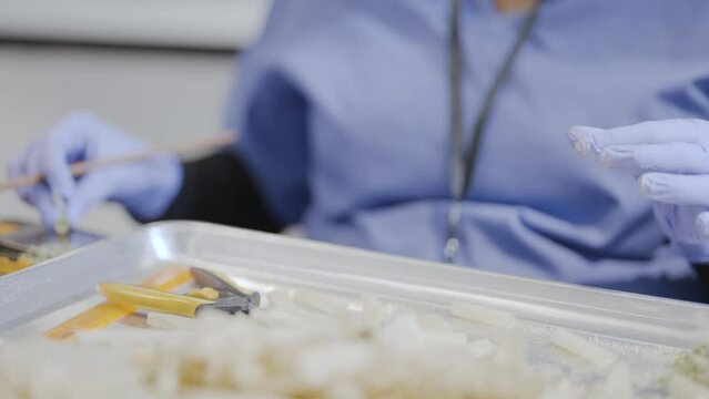 Tracking shot of Factory worker trim and filling up cannabis Joints, Close-up