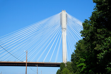 Port Mann bridge. Canada over Fraser River in BC interesting unusual footage of bridge from bottom up beautiful white cables stretched support mighty strong bridge green trees railroad Earth on siphon