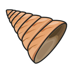 Shell sea vector color icon. Vector illustration sea shell on white background. Isolated color illustration icon of seashell.