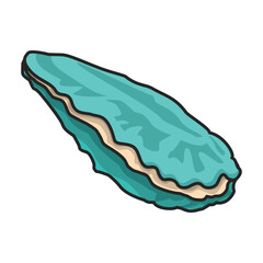 Shell sea vector color icon. Vector illustration sea shell on white background. Isolated color illustration icon of seashell.