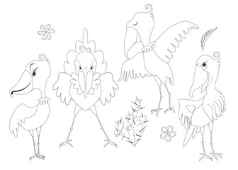 Set of Shoebill Storks. Bird shoebill vector illustration clip art coloring book