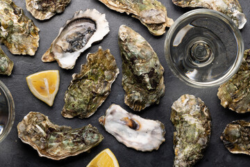 Fresh oysters with glasses of sparkling wine