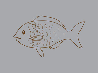 Hand-drawn vector illustration of fish isolated on
