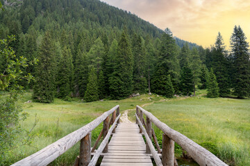 path that crosses a bridge towards a forest in Trentino