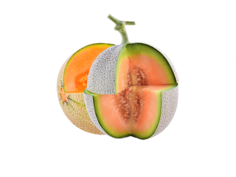 cantaloupe melon isolated on transparnt png