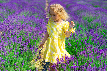 Cute adorable little girl in provence lavender field