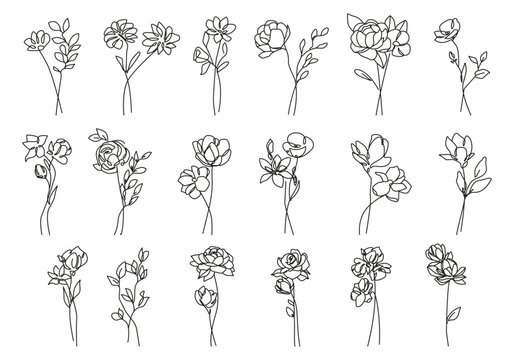 Botanical Line Art Hand Drawn Abstract Flowers Set. Floral, Leaves, Bouquet Collection in Minimalist Linear Style. Flowers One Line Drawing for Modern Design. Vector Illustration.