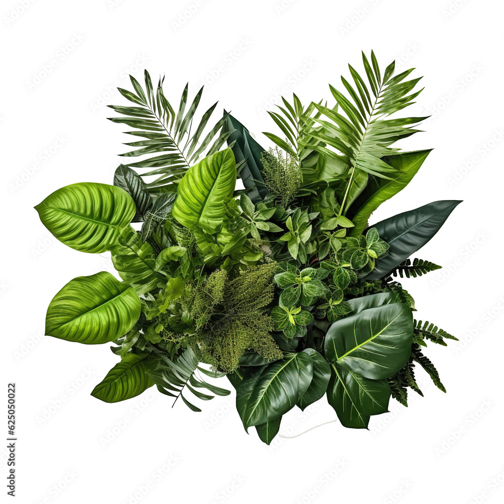 Poster Tropical leaves foliage plant bush floral arrangement nature backdrop isolated on white background, clipping path included.