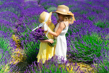 Two little cute girls in hats together in summer lavender field
