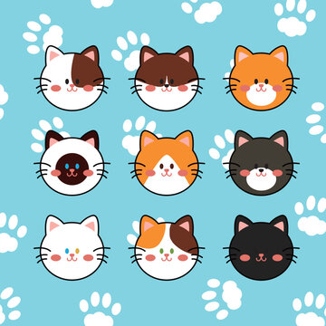 pattern with cats face charactor