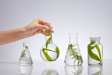 Laboratory flasks containing different samples of seaweed are placed on a backlit white background. The female hand is lifting a vase among them. Scene for advertising with minimal concept