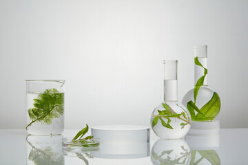 Transparent podium placed in the middle of several laboratory glassware. Seaweed is loaded with vitamin E that also great for hydrating the skin. White background