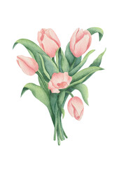 bought of tulips watercolor