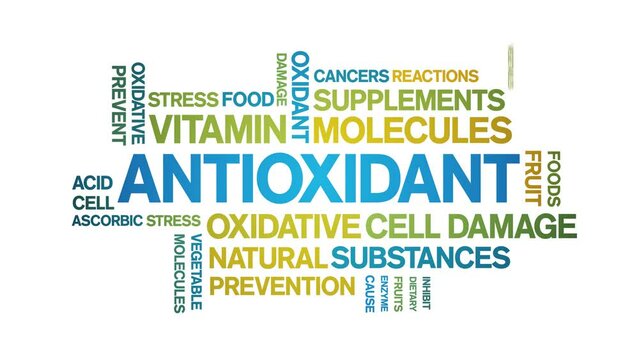 Antioxidant animated tag word cloud;text design animation kinetic typography seamless loop.