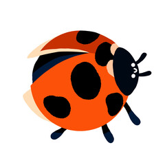 Chubby ladybug with smiley face