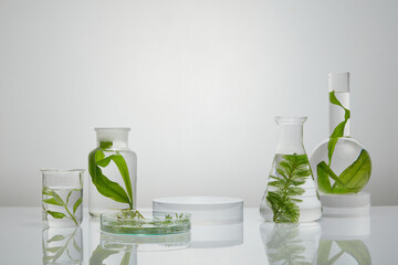 Laboratory glassware with fresh seaweed inside arranged on mirror table with a round podium. Seaweed helps smoothing out fine lines with its anti-aging properties - obrazy, fototapety, plakaty