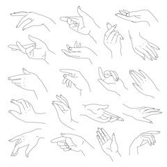Elegant and tender hands with fingers, vector