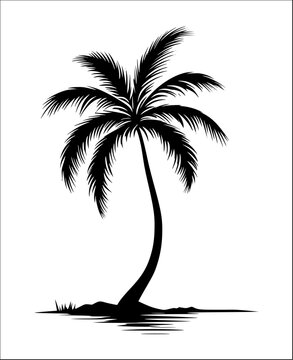 coconut tree silhouette vector illustration 