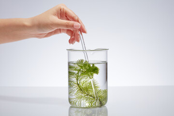 Against the white background, woman's hand holding a glass rod stirring a clear solution and green...