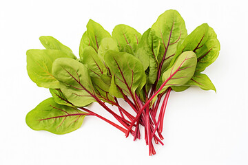 Ai generative.  Fresh red veined sorrel leaves on the white background