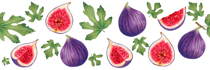 Border design with figs.Illustration of sweet fresh harvest. Horizontal banner or frame for design of farmers market, menu, recipes, packaging. Fruit harvest.Hand drawn isolated art.