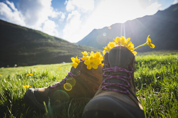 Hiking boots with yellow wild flowers in grass