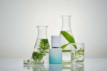 Conical flasks, petri dish and beaker with water and fresh seaweed filled inside. A gradient color bottle without label featured. Natural skin care concept