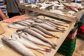 Split Croatia. 06-07-2023. Fish at the Split fish market in Croatia.