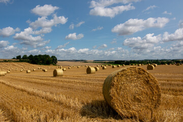 
typical french landscape with large rolls of hay drying in the field in the hills of the...