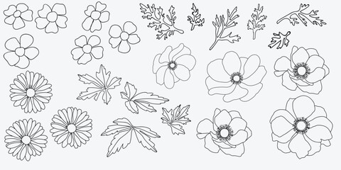 Illustration of the flowers on a white background.
