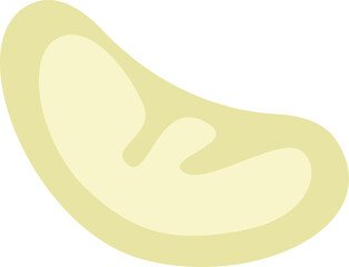 Bean Fruit Icon