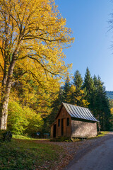 Plakat autumn in the mountains, colorful trees and landscape