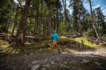 Woman trail runner cross country running in high altitude mountains