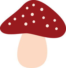 Fly Agaric Mushroom