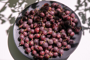 Gooseberries in a plate on the table. Vitamin summer food. Berry harvest. Pink berries background.