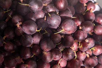 Gooseberries in a plate on the table. Vitamin summer food. Berry harvest. Pink berries background.