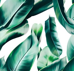 Tropical green leaves pattern on white background, lush foliage of banana palm leaves the tropic plant Generative AI