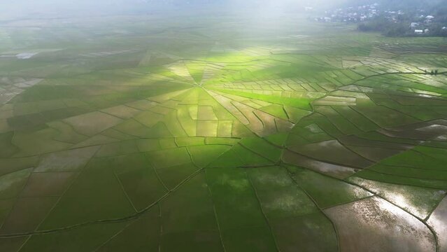 aerial view of Spider Web Rice Fields
in Flores, Ruteng
